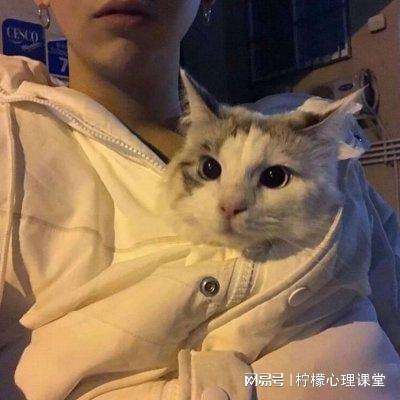 曙光先锋腾讯版下载